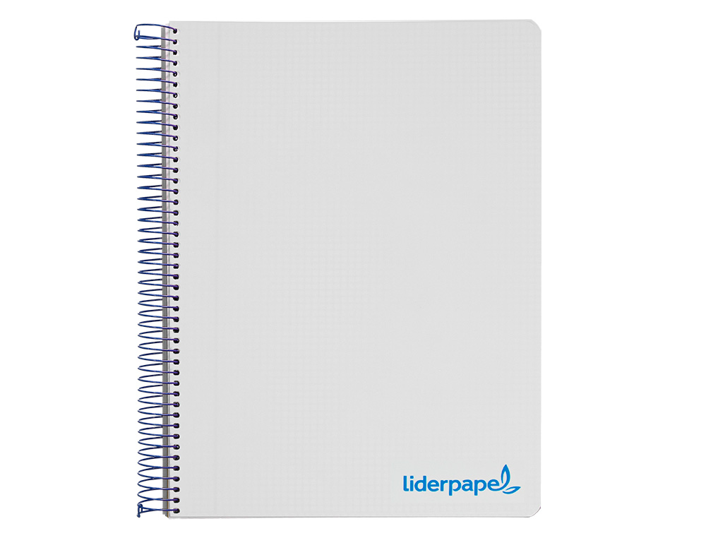 CAHIER SPIRALE LIDERPAPEL A4 MICRO WONDER 240 PAGES 90G 5X5MM 4 TROUS 5 BANDES COULEURS GRIS
