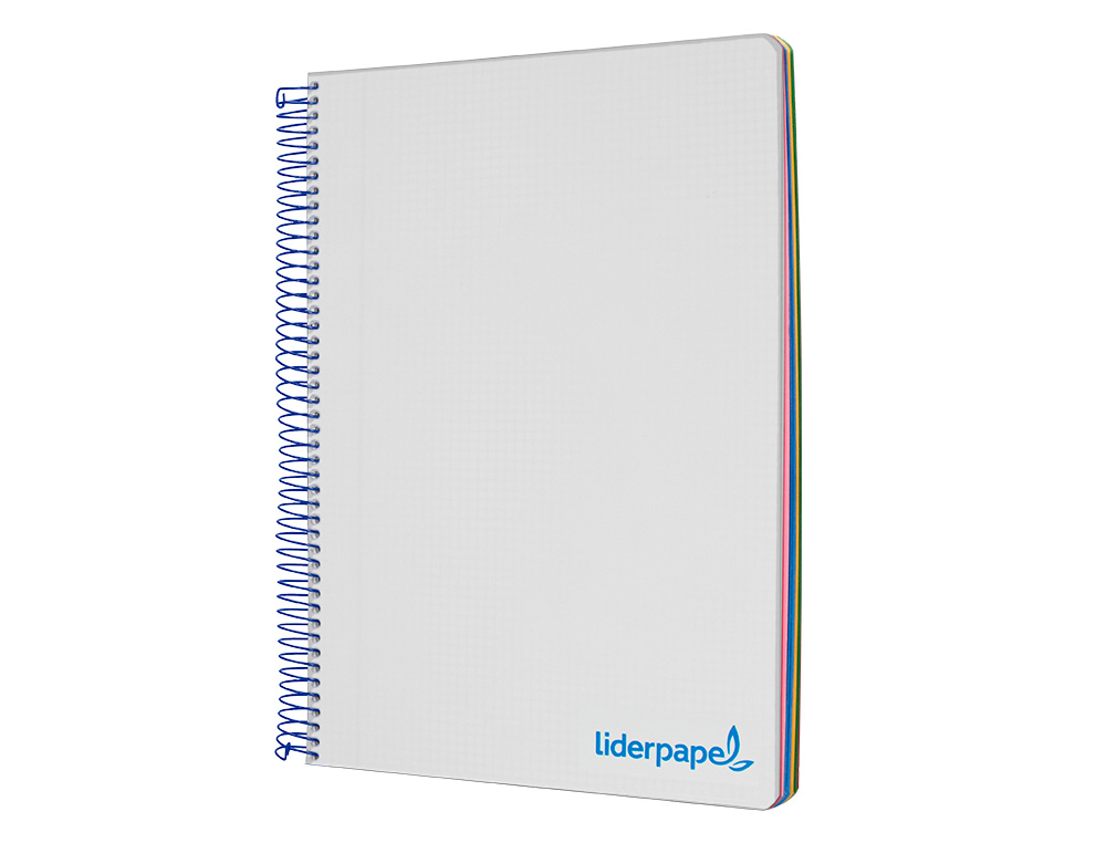 CAHIER SPIRALE LIDERPAPEL A4 MICRO WONDER 240 PAGES 90G 5X5MM 4 TROUS 5 BANDES COULEURS GRIS