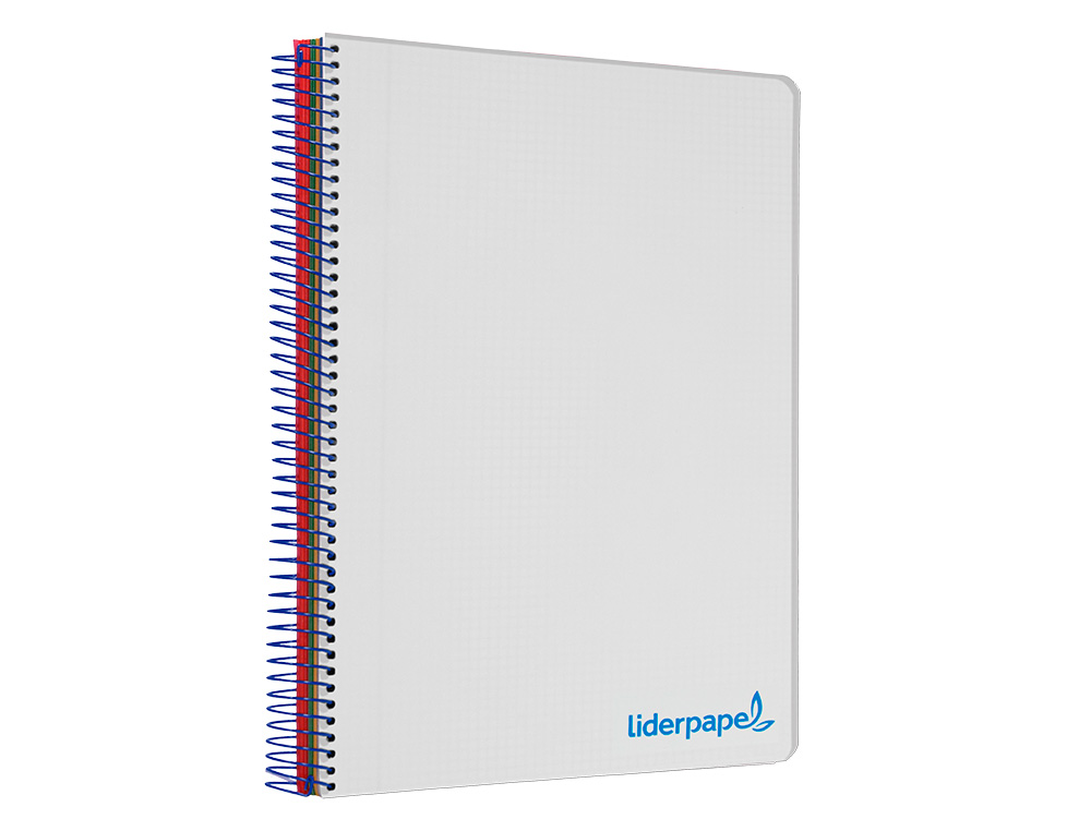 CAHIER SPIRALE LIDERPAPEL A4 MICRO WONDER 240 PAGES 90G 5X5MM 4 TROUS 5 BANDES COULEURS GRIS
