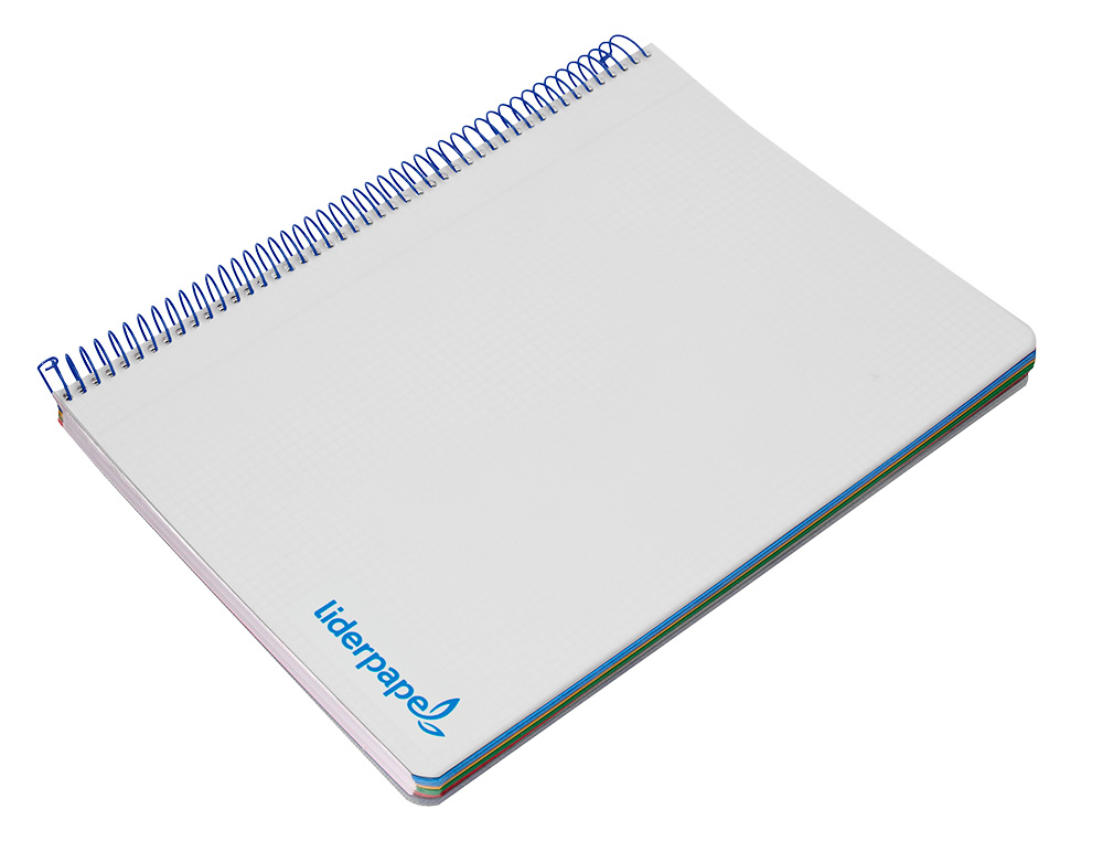 CAHIER SPIRALE LIDERPAPEL A4 MICRO WONDER 240 PAGES 90G 5X5MM 4 TROUS 5 BANDES COULEURS GRIS