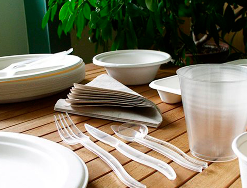 ASSIETTE PLATE IVOIRE COLDIS FIBRES VEGETALES              BIODEGRADABLE DIAMETRE 23CM   SACHET 50 UNITES