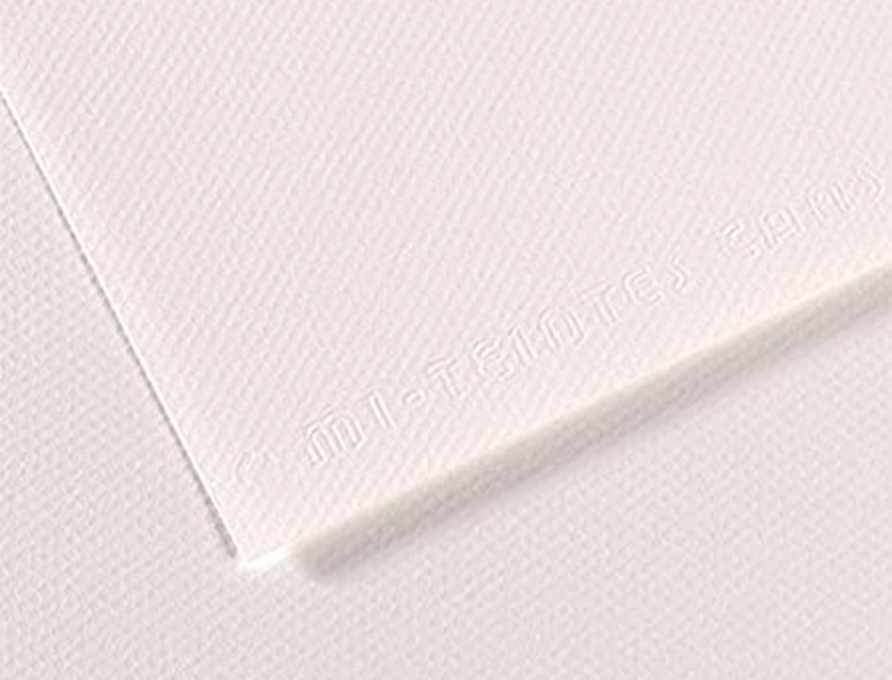 PAPIER DESSIN CANSON FEUILLE MI-TEINTES N 335 GRAIN GELATINE HAUTE TENEUR COTON 160G 50X65CM UNICOLORE BLANC