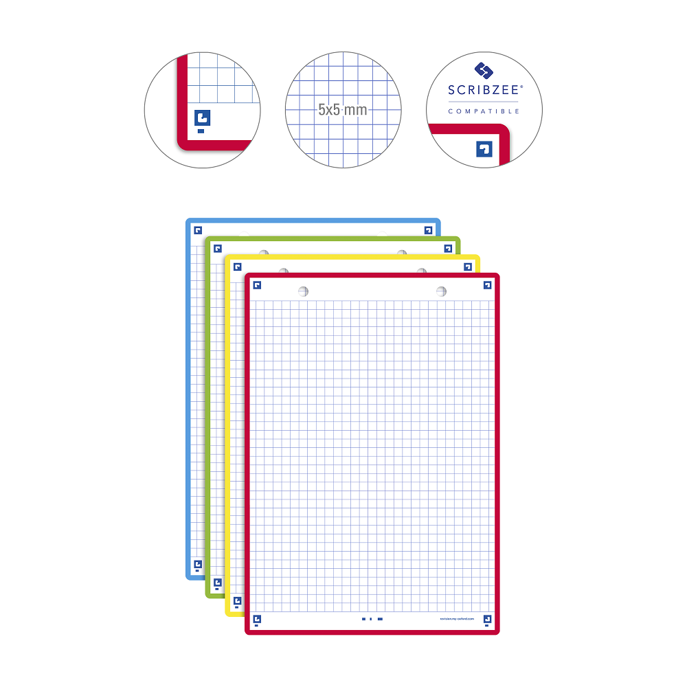 FICHES BRISTOL OXFORD REVISION 2.0 A5 PERFOREE 32   FICHES/FILM Q5X5 COULEUR      ASSORTIES