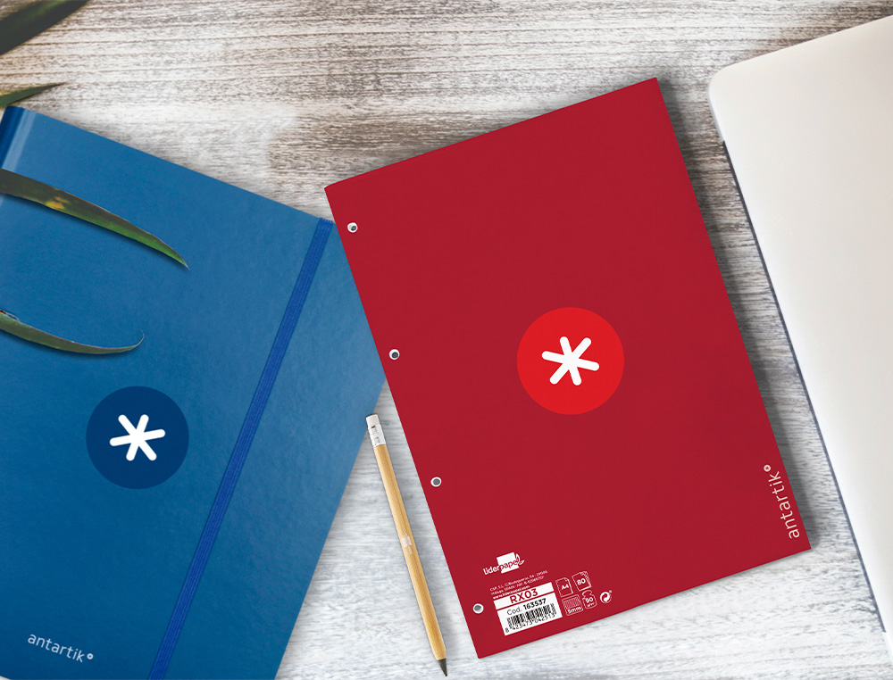 FEUILLET MOBILE ANTARTIK A4 80FEUILLES 90G QUADRILLAGE 5MM  4 TROUS BORD COLORIS FRAMBOISE