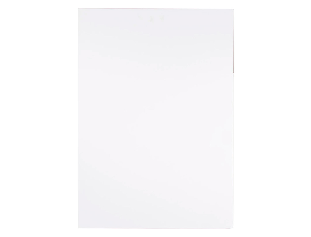 CARTON PLUME LIDERPAPEL DOUBLE-FACE 70X100CM          EPAISSEUR 10MM COLORIS BLANC