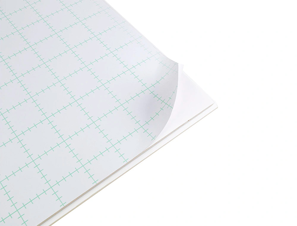 CARTON PLUME LIDERPAPEL DOUBLE-FACE 70X100CM          EPAISSEUR 10MM COLORIS BLANC