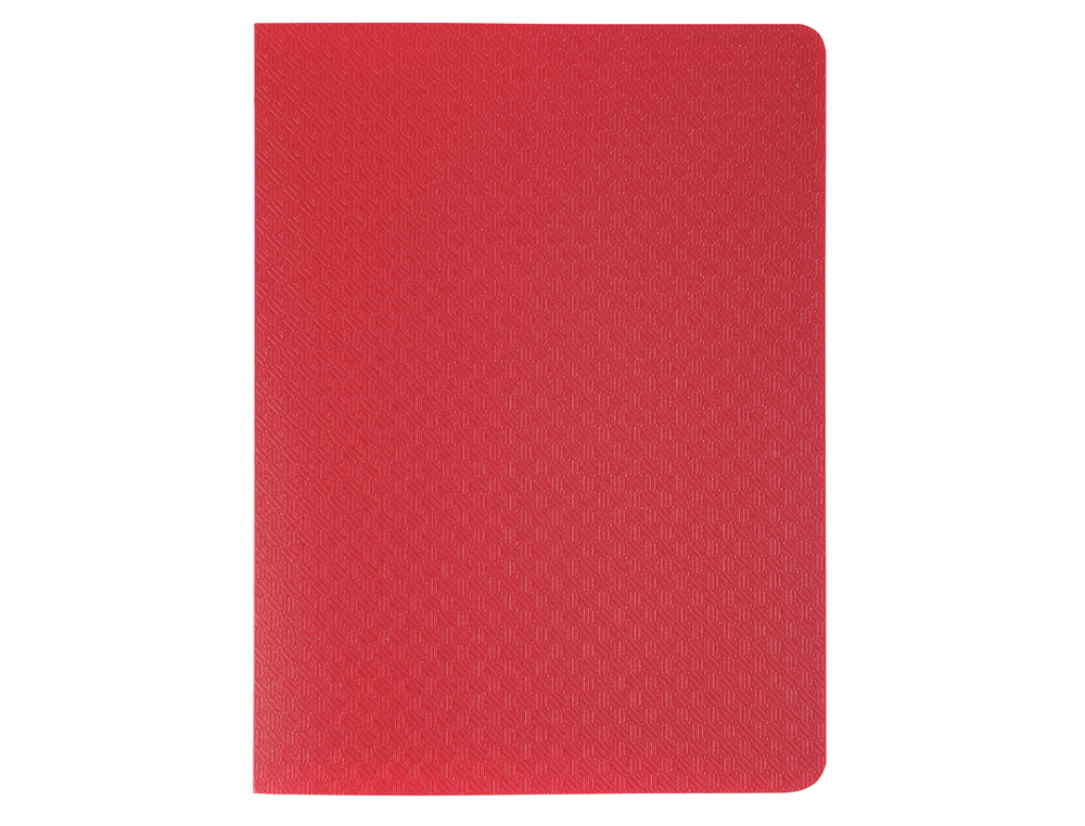 PORTE-VUES EXACOMPTA OPAK PP 40 VUES 11X15CM COLORIS       ASSORTIS