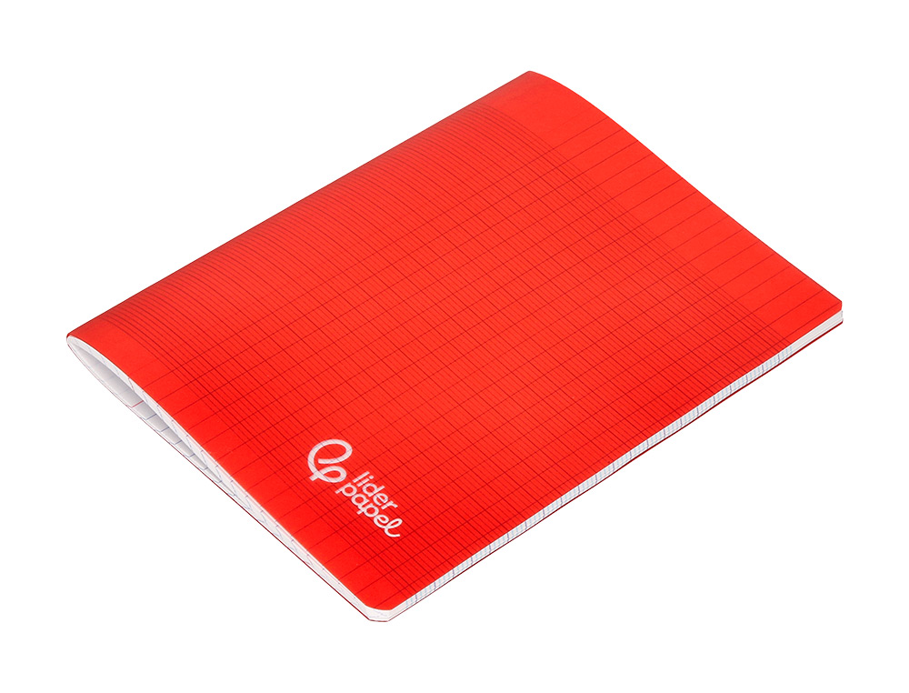 CAHIER PIQURE LIDERPAPEL COUVERTURE PP 170X220MM 96P   SEYES COLORIS ASSORTIS LOT 10 UNITES