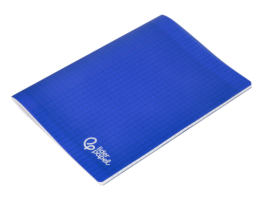 CAHIER PIQURE LIDERPAPEL COUVERTURE PP 240X320MM 48P   SEYES COLORIS BLEU