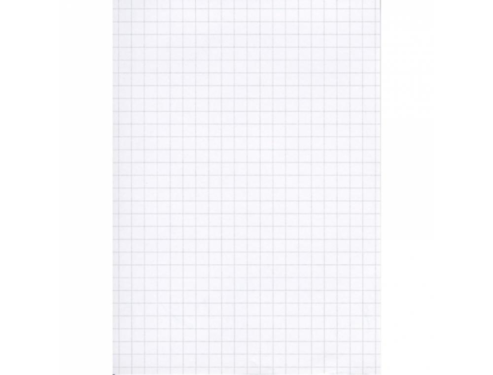 BLOC-NOTES CALLIGRAPHE 148X210MM 5X5 60G 100 FEUILLES