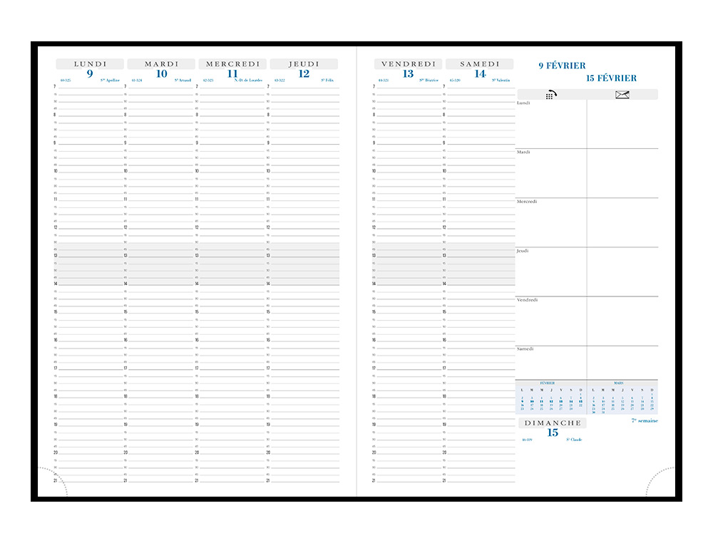 AGENDA EXACOMPTA CONSULTATIONSBARBARA PLASTIQUE 13 MOIS DECEMBRE/DECEMBRE 210X290MM COLORIS ASSORTIS
