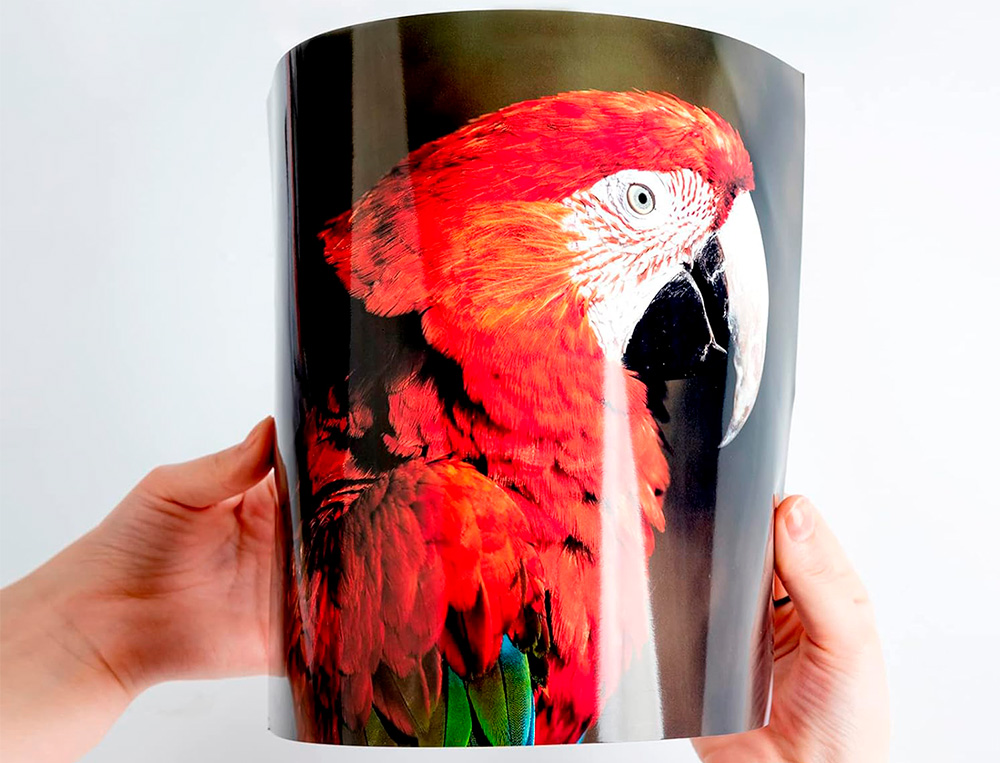 PAPIER PHOTO Q-CONNECT JET D'ENCRE GLACÉ ULTRA-BRILLANT A4 260G /M2 COMPATIBLE TOUTE IMPRIMANTE PAQUET 20 FEUILLES