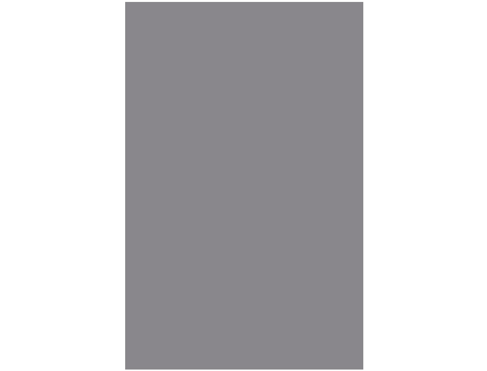 PAPIER CARTONNE LIDERPAPEL 50X65CM 240GR COLORIS GRIS