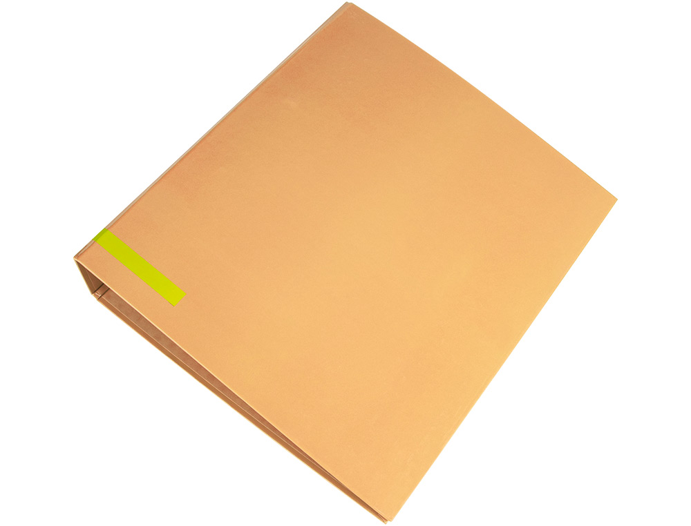 CLASSEUR A LEVIER LIDERPAPEL A4 COLOR SYSTEM DOS DE 80 MM COLORIS PECHE