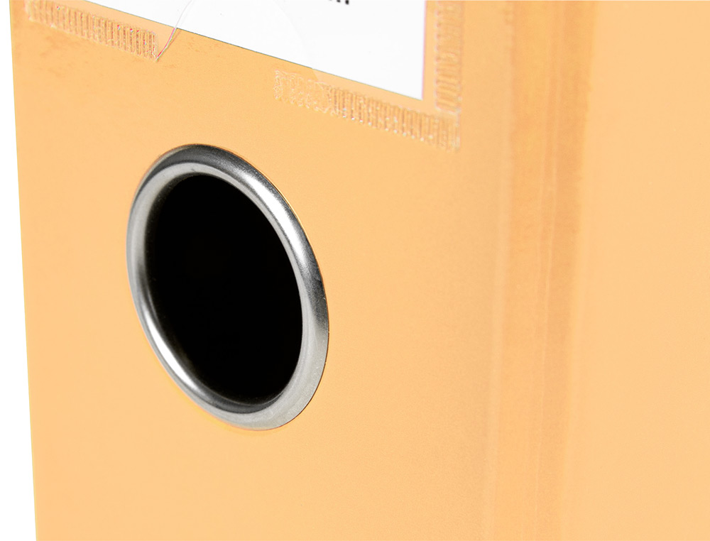 CLASSEUR A LEVIER LIDERPAPEL A4 COLOR SYSTEM DOS DE 80 MM COLORIS PECHE