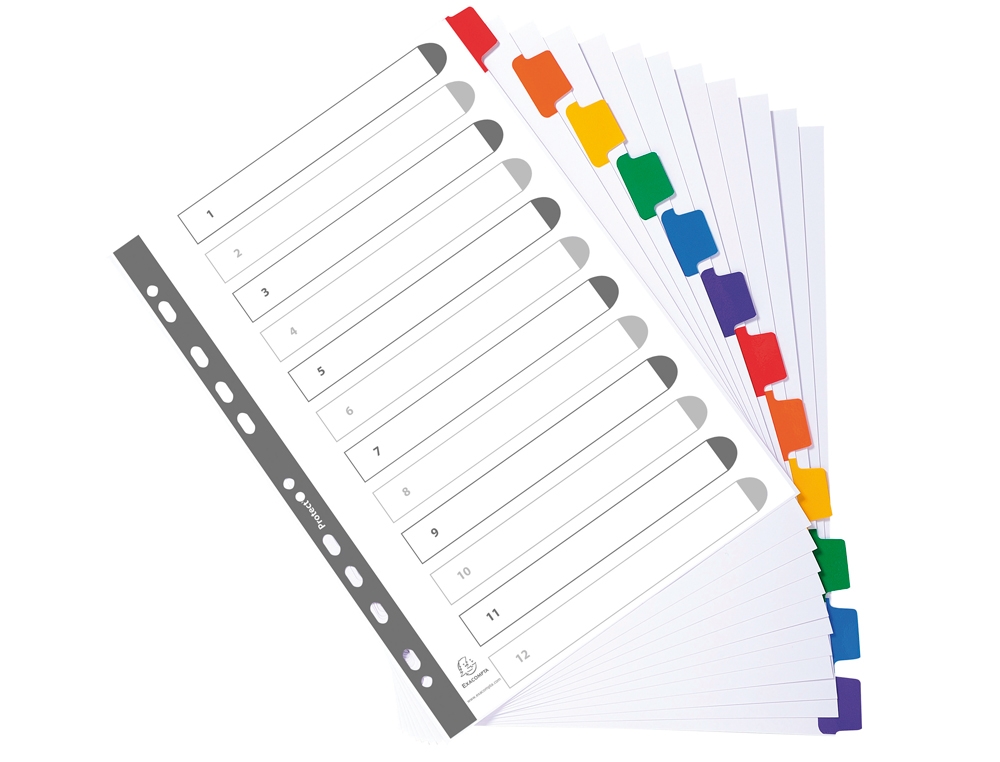 INTERCALAIRE EXACOMPTA CARTE BLANCHE 160G 12 POSITIONS A4 ONGLETS COULEUR RENFORCÉS