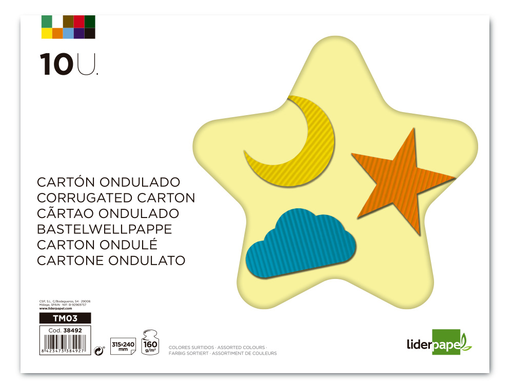 CARTON ONDULÉ LIDERPAPEL A4+ 24X31,5CM 160G/M2 COLORIS ASSORTIS BLOC 10F