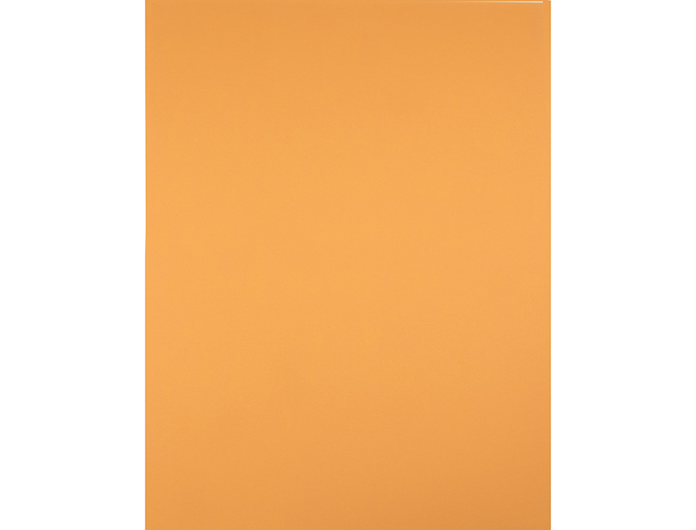 PAPIER CARTONNE LIDERPAPEL 50X65CM 180GR COLORIS         NOISETTE