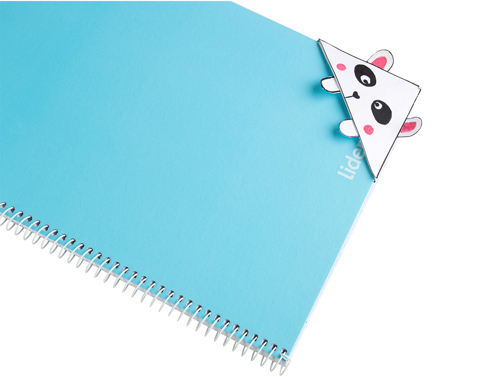 PAPIER CARTONNE LIDERPAPEL 50X65CM 180GR COLORIS BLANC   PAQUET 25 FEUILLES
