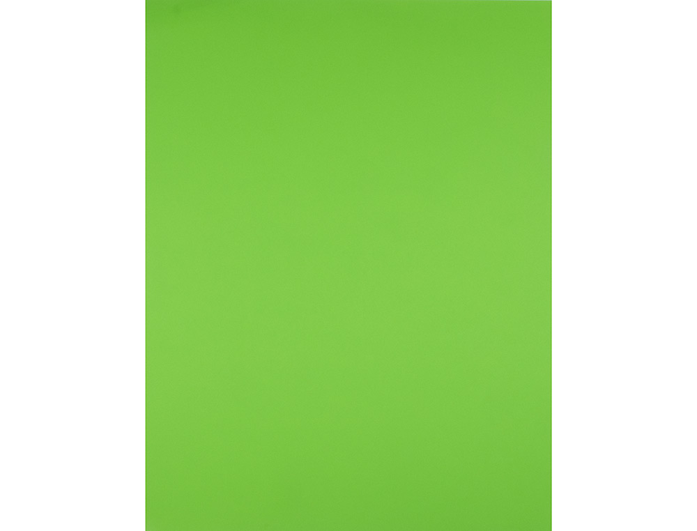 PAPIER CARTONNE LIDERPAPEL 50X65CM 180GR COLORIS VERT    PISTACHE PAQUET 25 FEUILLES