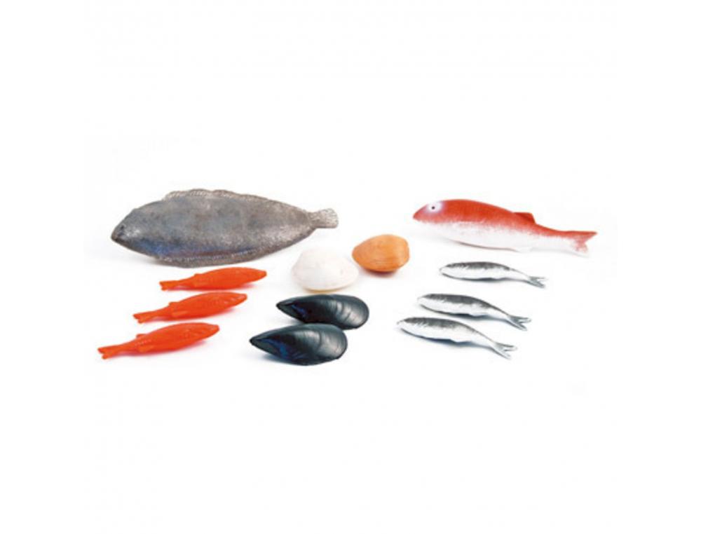 LES POISSONS ASSORTIMENT DE 12 PIECES LAP